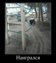 Трудная дорога домой