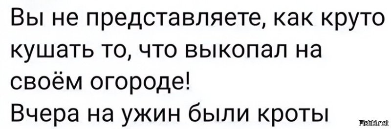 Демотиваторы для всех