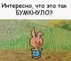 Газонокосильщик выбил стёкла у нескольких автомобилей