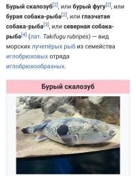 Намешалось