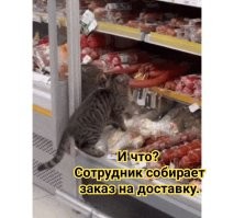 Просто гифки, всякие и&nbsp;разные