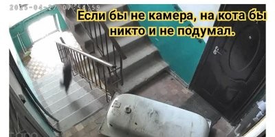 Просто гифки, всякие и&nbsp;разные