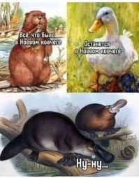 Не ищите здесь смысл. Здесь в основном маразм