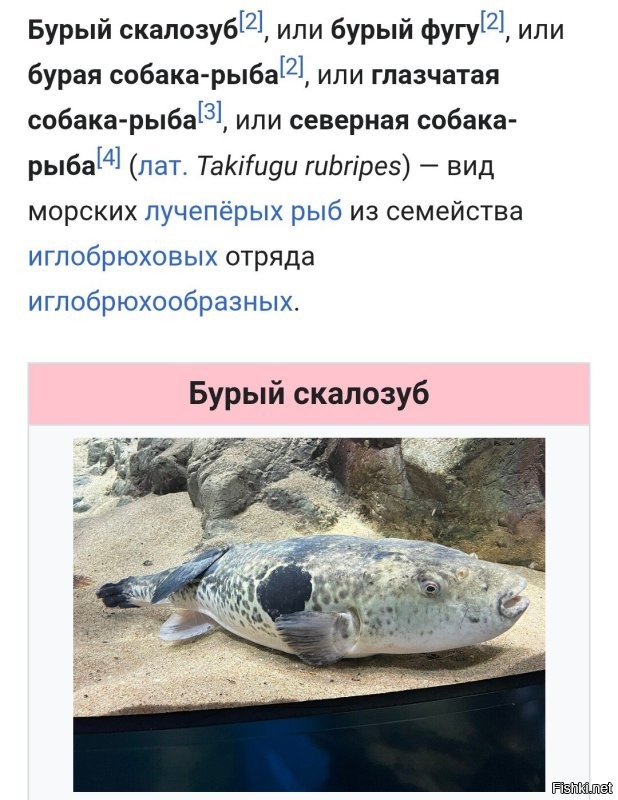 Намешалось