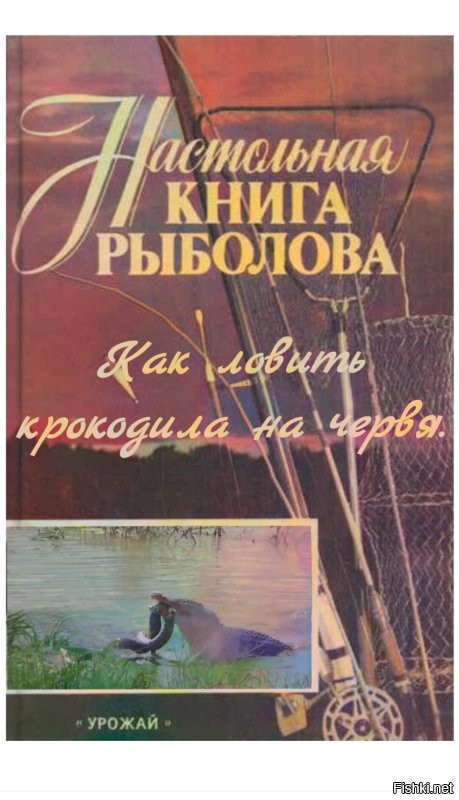 Короткая схватка крокодила и питона