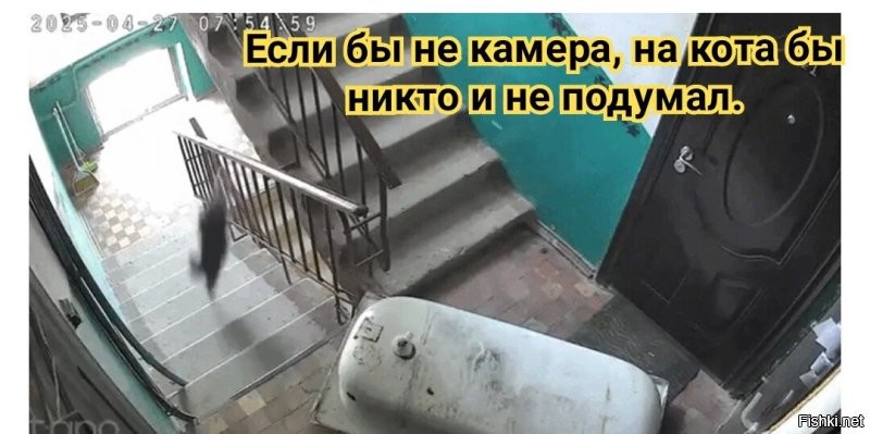 Просто гифки, всякие и&nbsp;разные