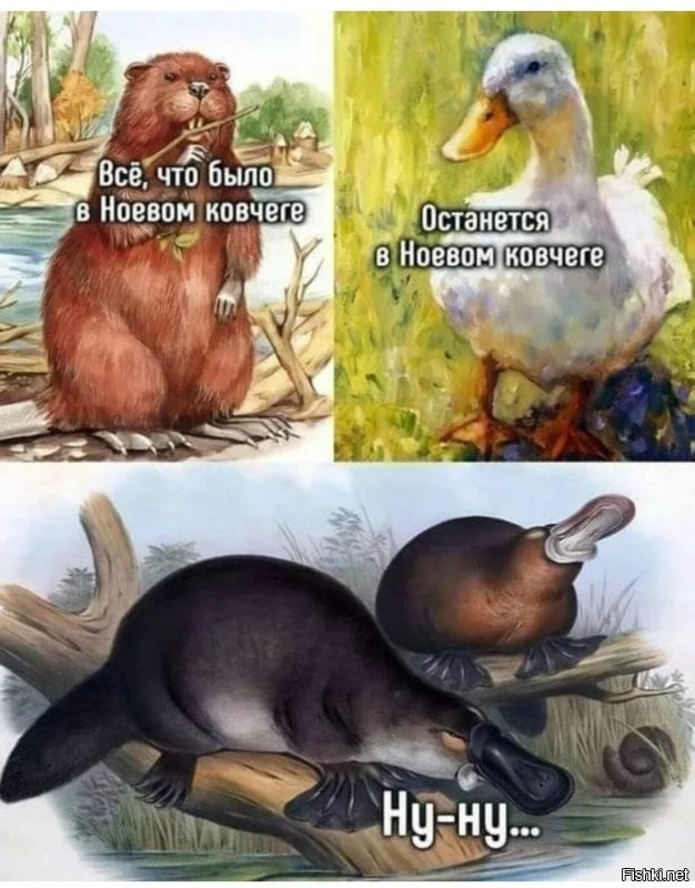 Не ищите здесь смысл. Здесь в основном маразм