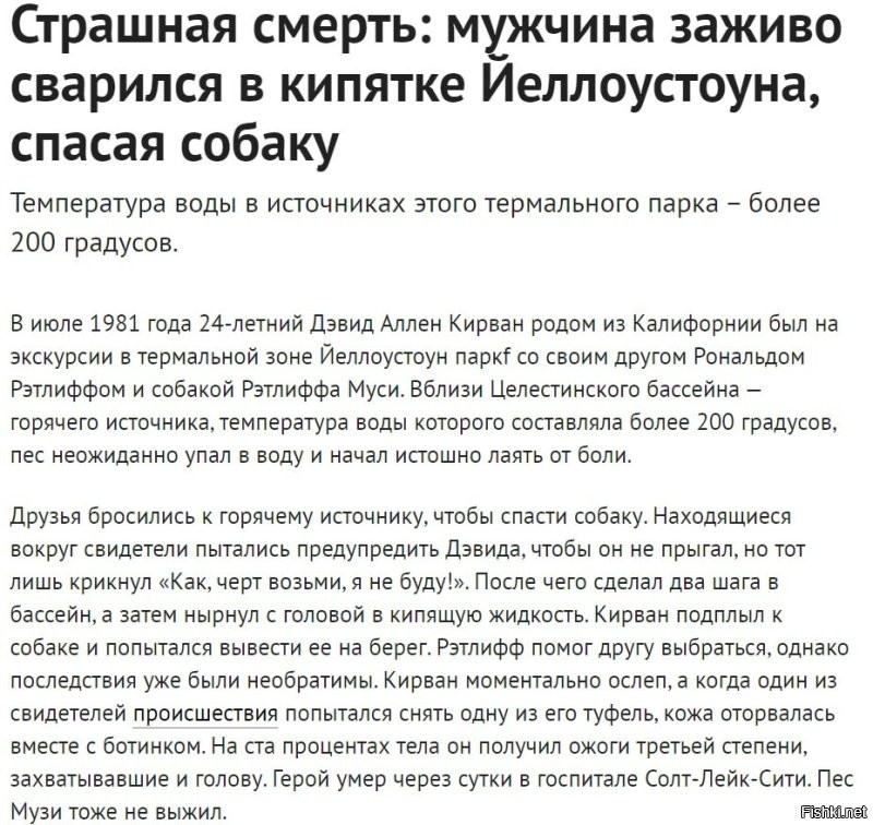 Сразу вспомнился этот парень.  Конечно, это его жизнь и его выбор.  Но, как по мне - выбор так себе.