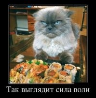 20 воришек, которых хочется простить с первой секунды кражи