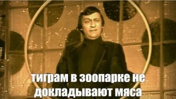 Попугая на них нету