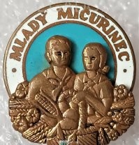 И значок рядом лежал