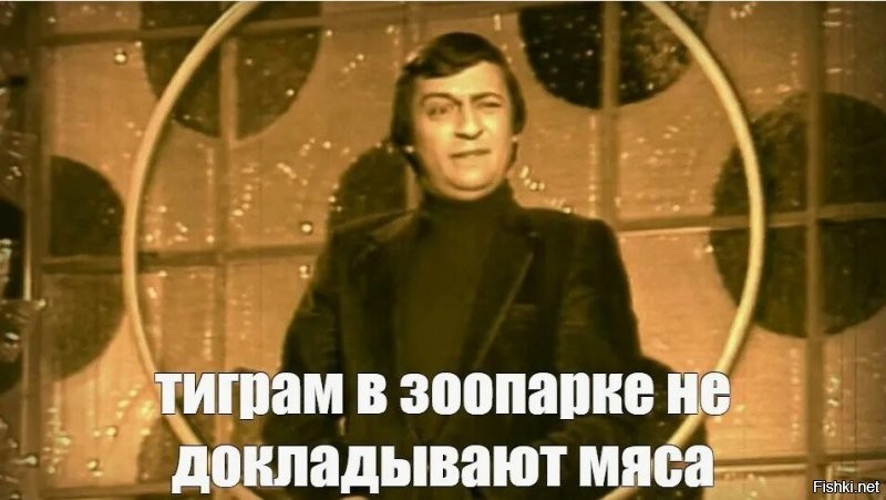 Попугая на них нету