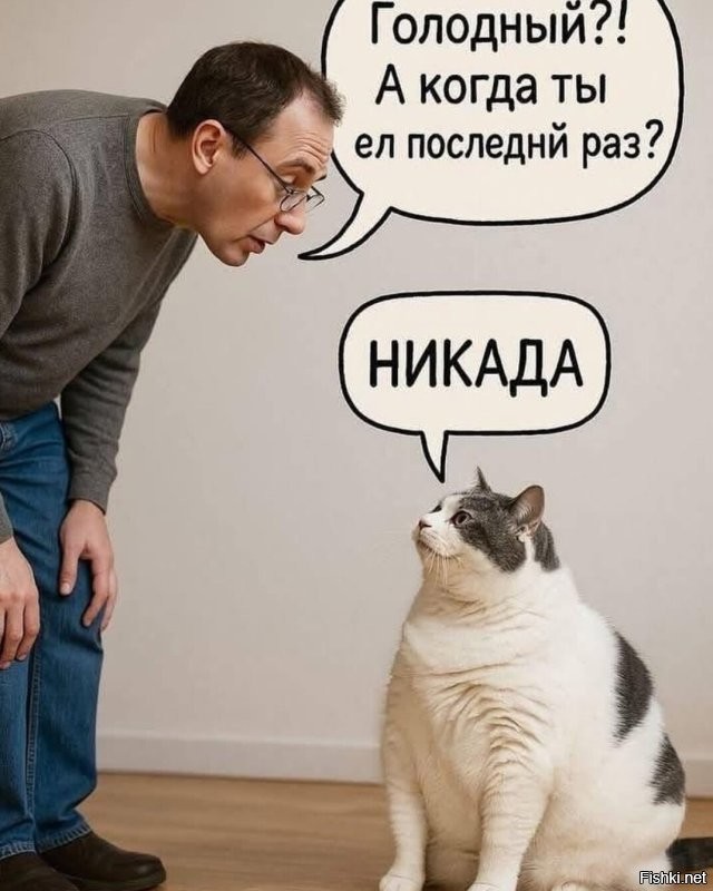 Не ищите здесь смысл. Здесь в основном маразм