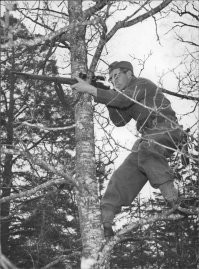 Eins, zwei, drei, Feuer!