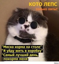 Кот стащил кусок мяса из тарелки