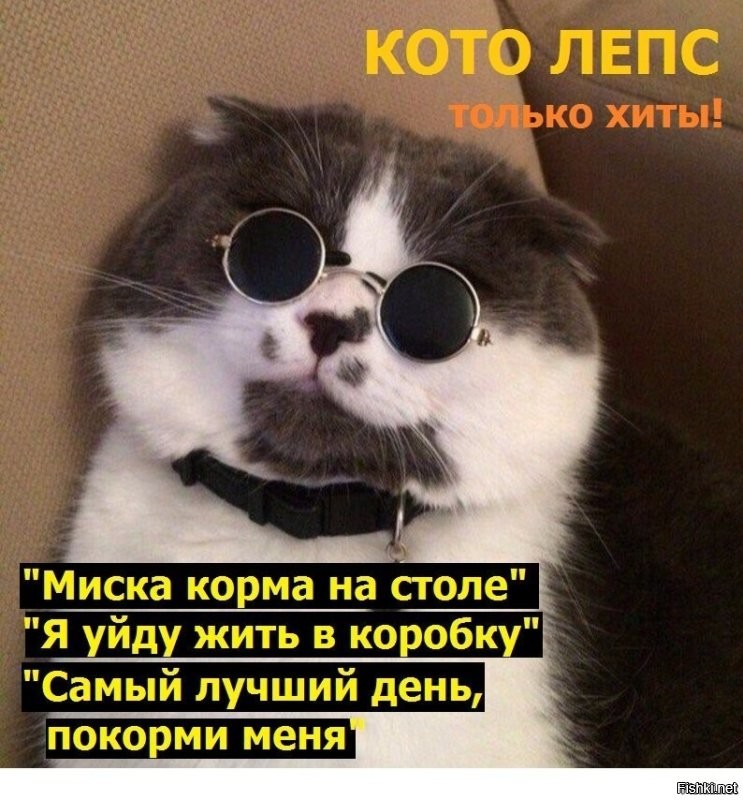 Кот стащил кусок мяса из тарелки