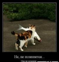 20 воришек, которых хочется простить с первой секунды кражи
