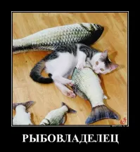 20 воришек, которых хочется простить с первой секунды кражи