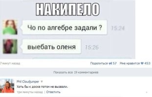 Сходили в лес за грибами⁠⁠
