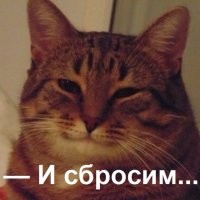 Кот убирает последствия своего "тыгыдыка"