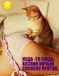 Не ищите здесь смысл. Здесь в основном маразм