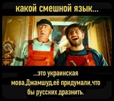 Политика , политика , политика