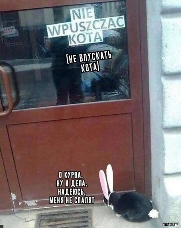 А некоторые оказываются находчивыми