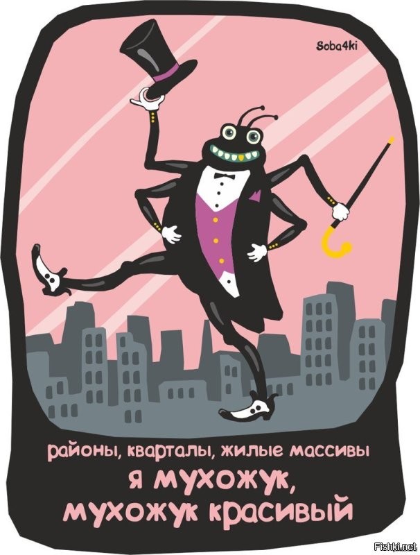 Солянка от 25.06.2025