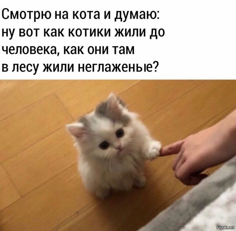 Солянка от 25.06.2025