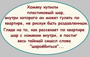 Шарообразный полицейский робот