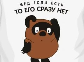 В&nbsp;Британии два медведя сбежали из&nbsp;зоопарка и&nbsp;съели весь мед в&nbsp;ближайшем магазине