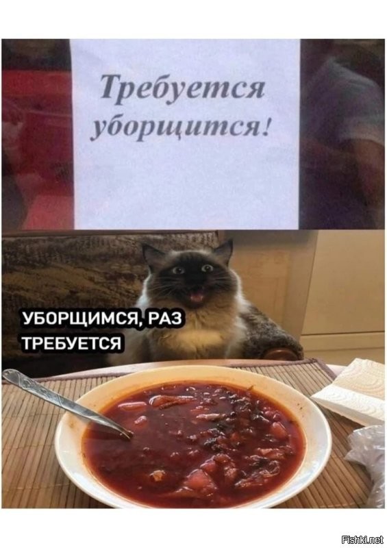 Солянка от 25.06.2025