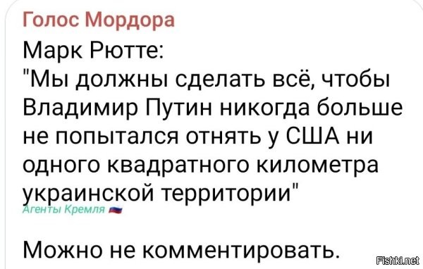 Шакал Табаки сказал свое слово