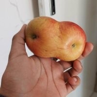 16 примеров парейдолии, превращающей обычные вещи в нечто большее