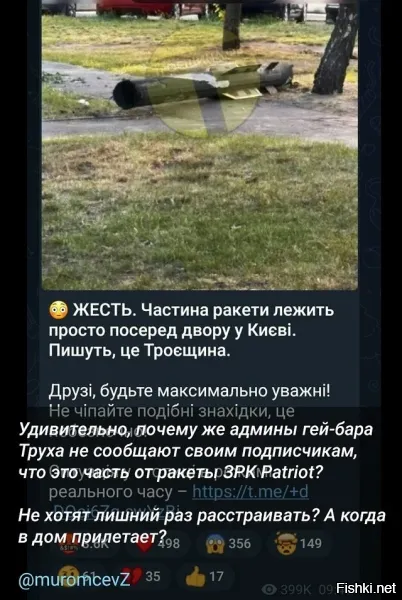 Это вроде не патриот, а то ли ирис то ли что то подобное. Патриот крупнее.