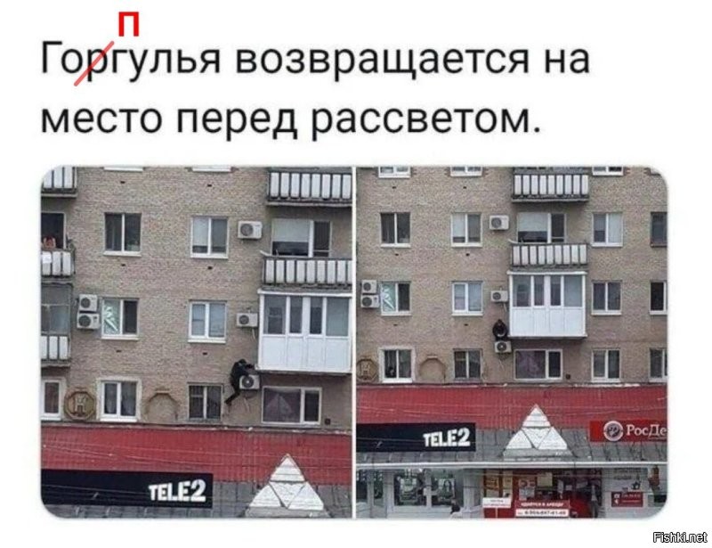 Картинки