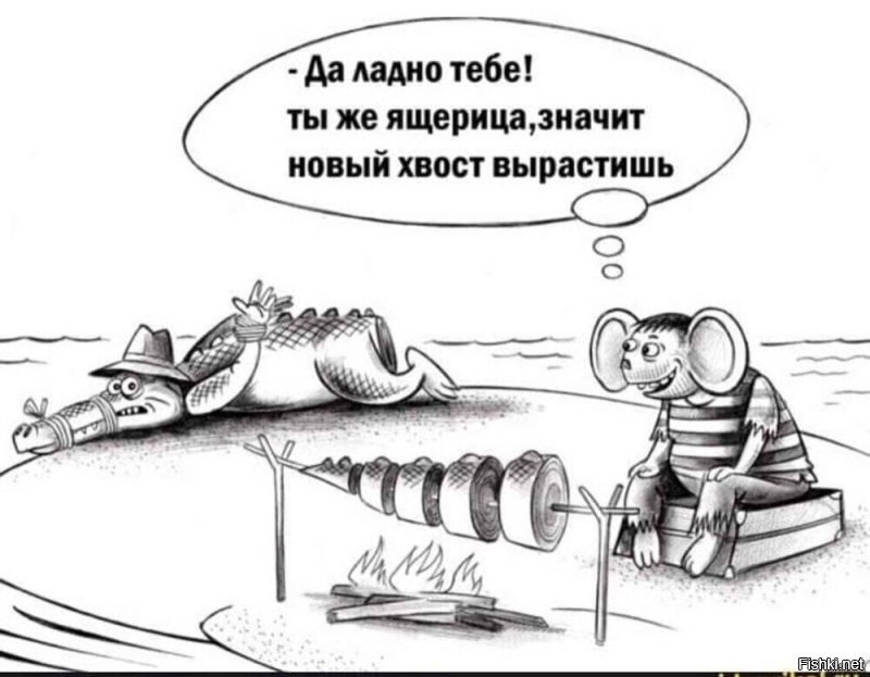 Солянка от 25.06.2025