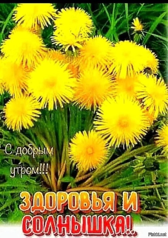 Доброе утро