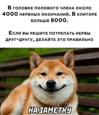 Большая тарелка улыбатора