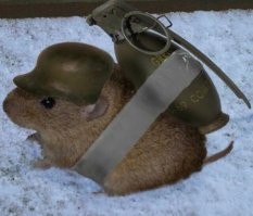 Не совсем.
