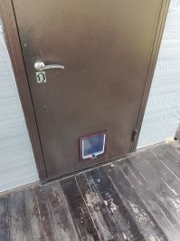 В прошлые выходные установил на даче для своего таксика такую дверь.
Он освоил практически мгновенно. Очень удобно, захотел погулять - вышел, захотел домой - вернулся. При этом её можно блокировать в трёх положениях - блокировка входа, блокировка выхода, полная блокировка. Ну, человек, даже ребёнок, не пролезет.
На зиму вставлю кусок пенопласта в нишу и установлю глухую стальную заслонку.
Цена вопроса 1000 рублей
