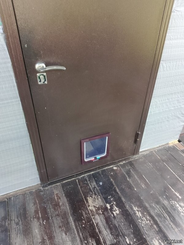 В прошлые выходные установил на даче для своего таксика такую дверь.
Он освоил практически мгновенно. Очень удобно, захотел погулять - вышел, захотел домой - вернулся. При этом её можно блокировать в трёх положениях - блокировка входа, блокировка выхода, полная блокировка. Ну, человек, даже ребёнок, не пролезет.
На зиму вставлю кусок пенопласта в нишу и установлю глухую стальную заслонку.
Цена вопроса 1000 рублей