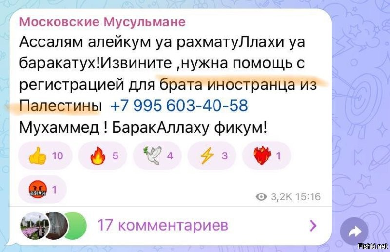 Как вам аватарка паблика в Телеграме, на котором бывшие мигранты помогают нынешним за деньги получить Московскую регистрацию?