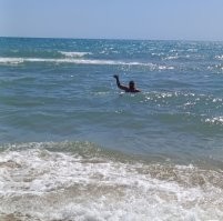 Звиздеж. 
Я тут, приехал в Витязево, ничего не брали, никто не гоняет. Это вчера.