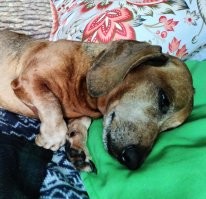 Не ищите здесь смысл. Здесь в основном маразм