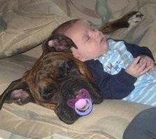 Большая тарелка улыбатора