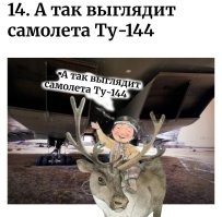 17  предметов, которые выглядят много больше обычных