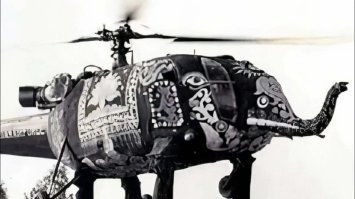 Слоны объелись забродивших фруктов   и прилегли отдохнуть