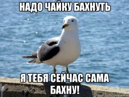 Женщина пришла в пункт выдачи с чайкой