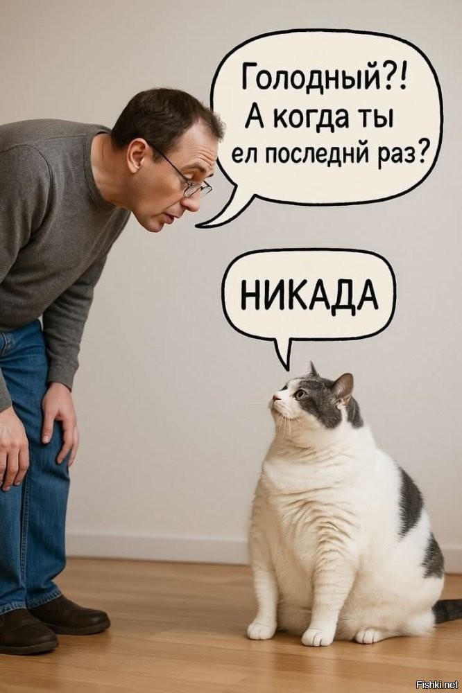 Солянка от 27.06.2025